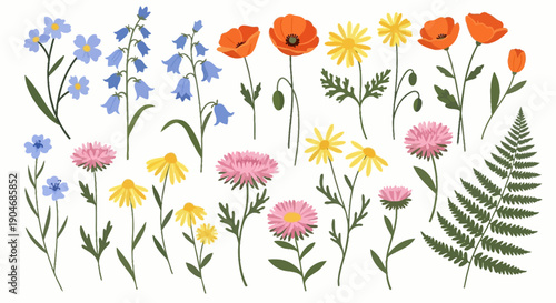 Vibrant Collection of Wildflowers and Ferns in Assorted Colors and Styles