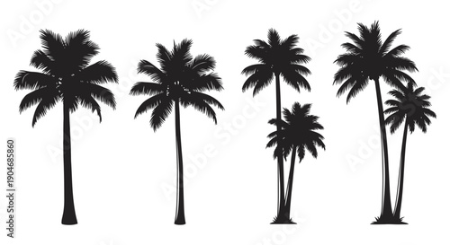 Collection of Black Silhouette Palm Trees Isolated on a White Background