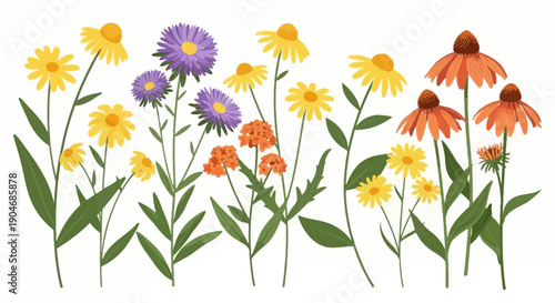 Assortment of Colorful Wildflowers and Plants in a Beautiful Meadow Landscape
