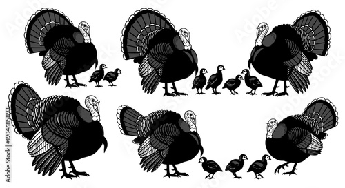 Family of Turkeys and Chicks, Stylized Vector Illustration on White Background