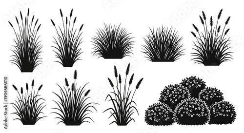 Collection of Black Silhouette Grasses and Bushes Vector Set Isolated on White