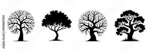 Trees silhouette set with four botanical icons, leafless and leafy oak shapes in black, isolated on white background for nature logo, forest design, decals and prints