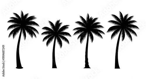 Group of Silhouetted Tropical Palm Trees on White Background, Vector Illustration