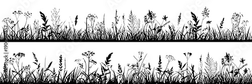 Plants wildflowers set with various species and intricate details in black and white featuring nature, detailed, botanical with illustration and collection elements for background, floral projects,
