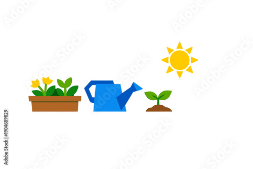 Gardening activity with flowers, watering can and sunlight in a sunny environment during daytime hours