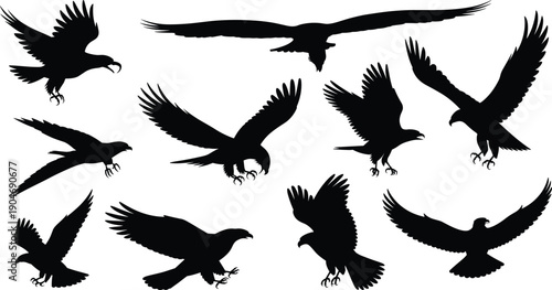 Eagle Silhouette Collection Set Isolated on White Background, Flying and Hunting Bird of Prey Shadows for Wildlife Graphic Design