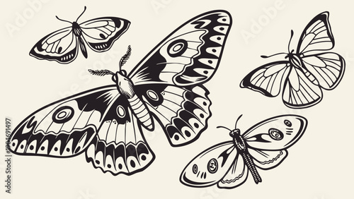 Vintage etching of four different butterflies and moths in a classic woodcut style.