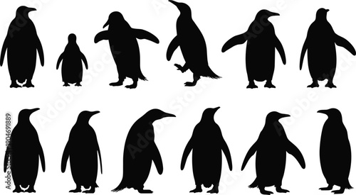 Penguin Silhouette Collection Set Isolated on White Background, Black Antarctic Bird Shadow Poses for Wildlife Illustration and Graphic Design
