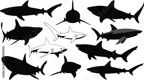 Shark Silhouette Collection Set Isolated on White Background, Ocean Predator Fish Shadows for Marine Wildlife Illustration and Graphic Design