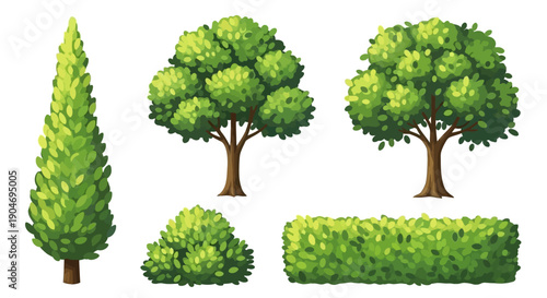 Collection of Green Trees and Bushes for Garden and Landscape Design