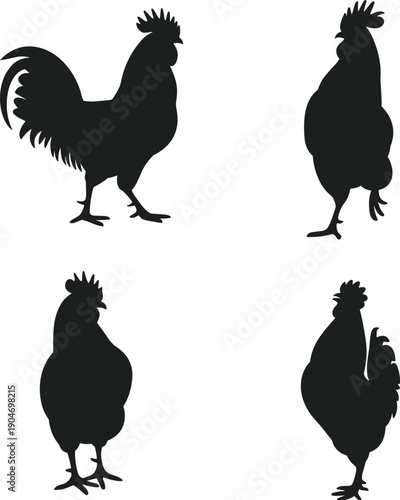 Black chicken rooster silhouettes set isolated on white background farm poultry illustration minimalist animal design collection vector clipart shadow style