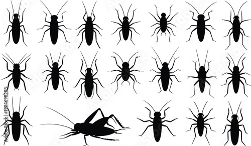 Black insect silhouettes collection showing cockroach and cricket shapes isolated on white background pest control illustration design set