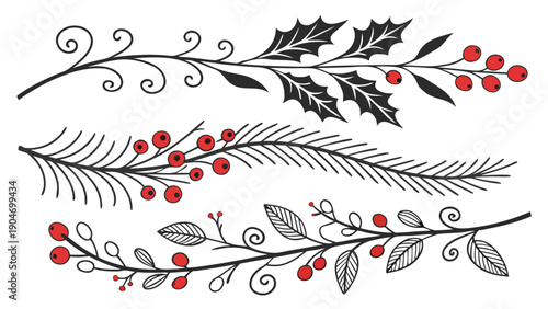 Hand drawn christmas botanical branches with holly pine needles and red berries on white background