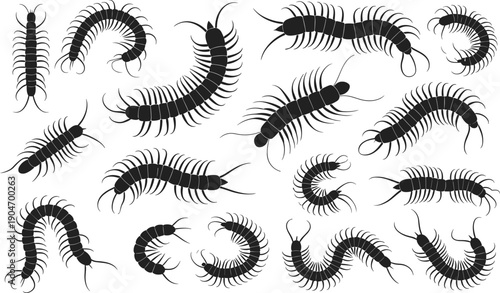 Centipede silhouette vector set, black arthropod insect illustrations collection for horror nature design isolated white background graphic icon spooky elements