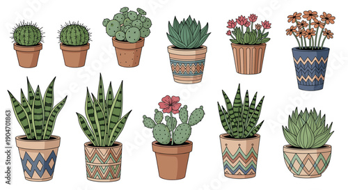 Collection of various colorful potted plants including cacti and succulents in decorative ceramic pots on white.