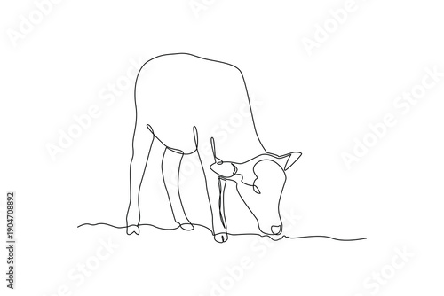 Grazing Cow Farm Mammal. Mammals Concept. Single line draw design Video 4k. Footage graphic illustration