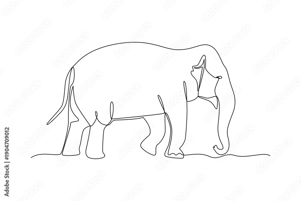 Fototapeta premium Standing Elephant Wild Mammal. Mammals Concept. Single line draw design Video 4k. Footage graphic illustration