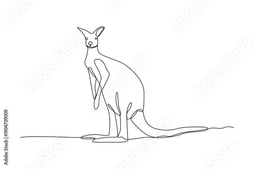Standing Kangaroo Wild Mammal. Mammals Concept. Single line draw design Video 4k. Footage graphic illustration