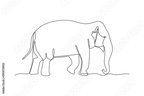 Standing Elephant Wild Mammal. Mammals Concept. Single line draw design Video 4k. Footage graphic illustration