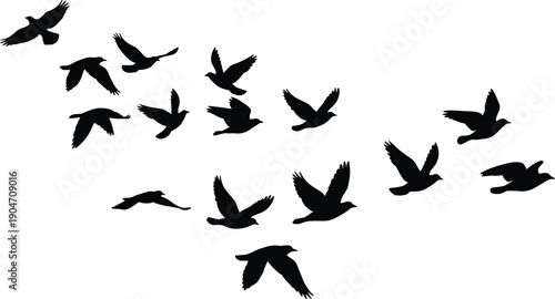 Flying birds silhouette flock showing dynamic wings in motion isolated on white background wildlife nature vector illustration design