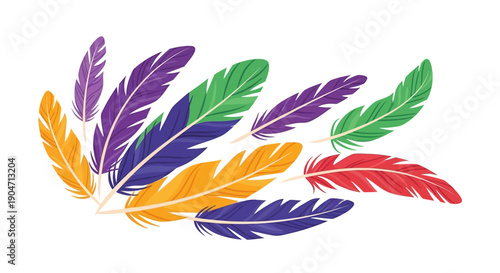 Colorful Feathers Arranged in a Bunch.