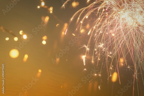 A spectacular photograph of brilliant fireworks