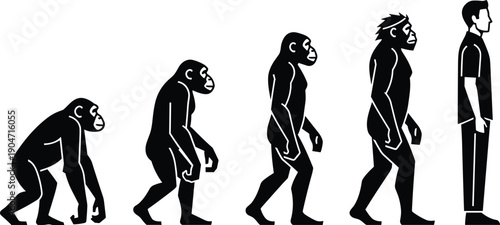 Black and White Human Evolution Silhouette Vector Illustration Showing the Progress From Primitive Ape to Modern Standing Man for Science and Educational Design Projects