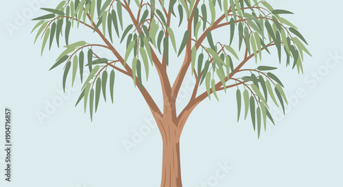 Illustration of a beautiful, healthy eucalyptus tree with its distinctive green leaves and sturdy trunk set against a pale blue background