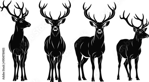 Majestic stag deer illustration set featuring black silhouettes of bucks with large antlers in various standing poses isolated on white background for nature design (24 words)