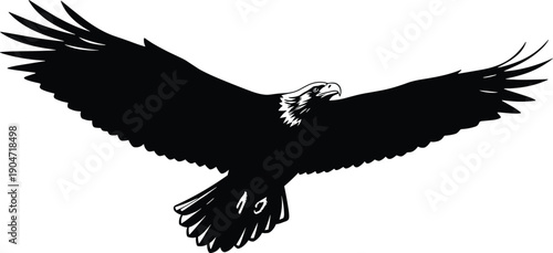Majestic soaring bald eagle illustration featuring a black silhouette with outspread wings in flight isolated on white background for patriotic and wildlife nature design (25 words)