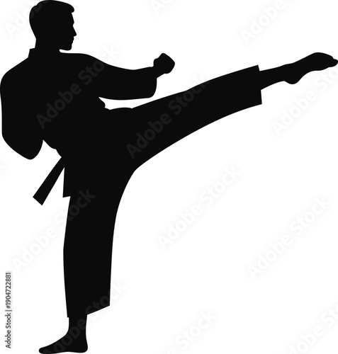 Strong male silhouette executing a dynamic martial arts side kick on an isolated pristine white backdrop