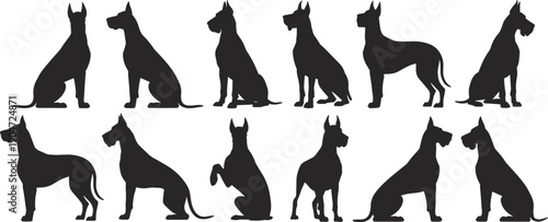 Dog silhouettes collection showing different sitting and standing poses, pet animal shapes, black vector dogs isolated on white background