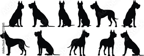 Dog silhouettes set featuring different sitting and standing canine poses, pet animal shapes, black vector dogs isolated on white background