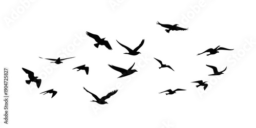 A flock of birds flying in a clear sky with a sense of freedom and direction Vector