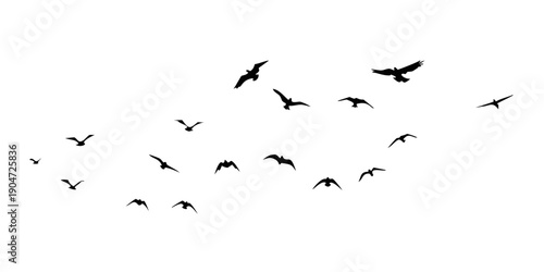 A flock of birds flying in a v-formation against a white background Vector