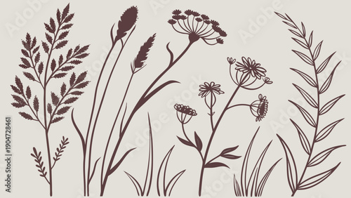 A collection of seven different wildflower and grass silhouettes in dark brown are arranged across a light beige background in a horizontal line showing various heights and botanical structures.