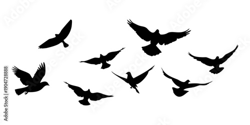 A flock of birds in flight against a white background. Vector