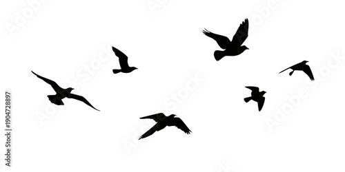 A flock of birds flying in a clear blue sky during the day Vector