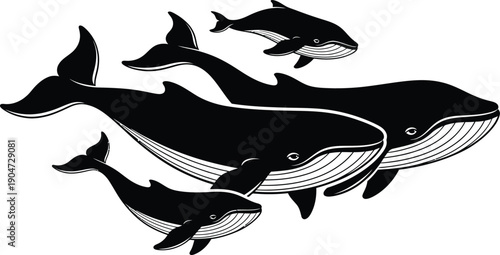 Silhouette of a pod of whales and dolphins swimming together in harmony