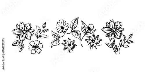 Intricate black and white floral design with symmetrical patterns and various flowers Vector