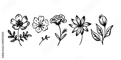 A delicate and intricate floral border design featuring various flowers and leaves Vector