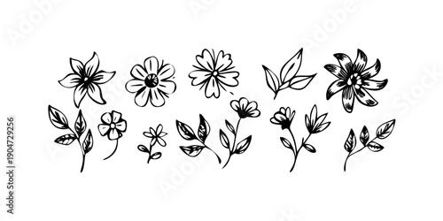 A collection of various flowers and plants in a decorative arrangement Vector