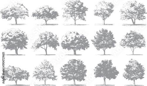 Fifteen grey deciduous trees with detailed foliage and trunks arranged in three rows on a white background