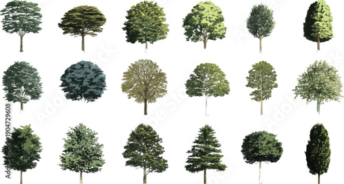Collection of diverse deciduous and coniferous trees with varied foliage and shapes nature plant plants