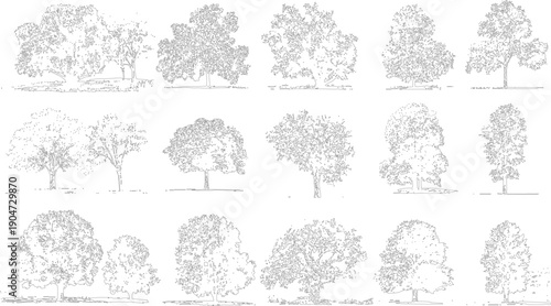 Collection of detailed black and white line of various deciduous trees with textured foliage and visible trunks and branches