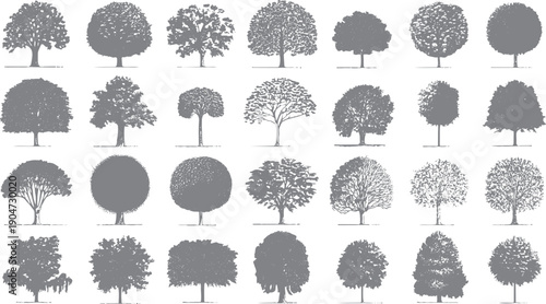 Collection of diverse grey tree silhouettes with varied foliage and branch structures on a white background. Detailed botanical outlines