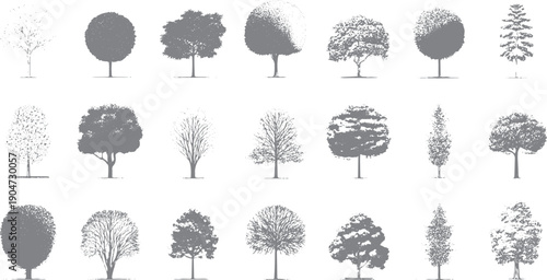 Collection of grey deciduous and coniferous trees in various styles and densities nature forest foliage