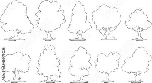 Ten distinct black and white line of deciduous trees with varied shapes and sizes outline silhouette