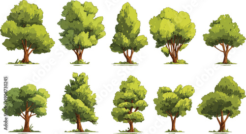 Ten diverse green trees with brown trunks and leafy canopies displayed against a white background nature