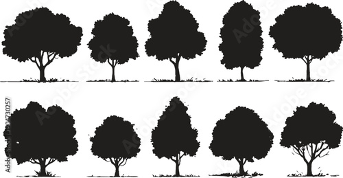 Collection of ten black tree silhouettes with varied foliage shapes and trunk structures on a white background